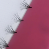 PRO MADE 20D 0.03 RUSSIAN FANS (LOOSE BOX OF 500)